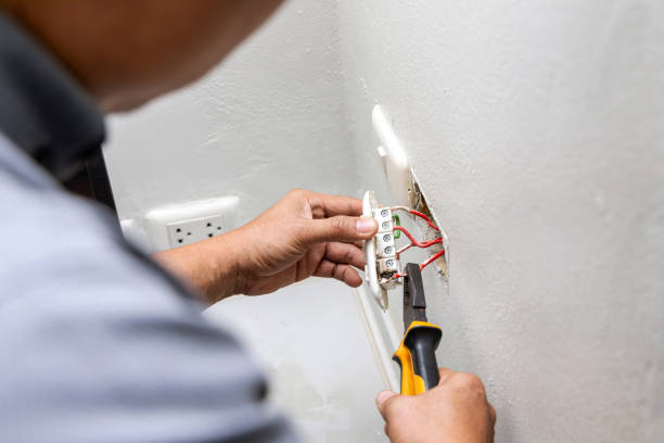 Best Home Electrical Repair  in Sulligent, AL